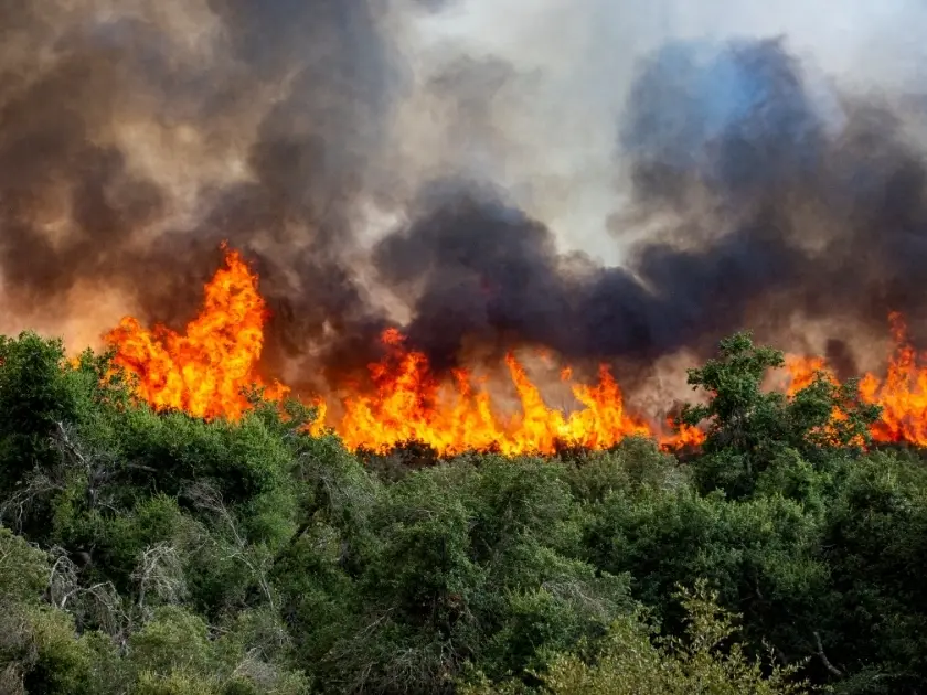 Cambio climatico
